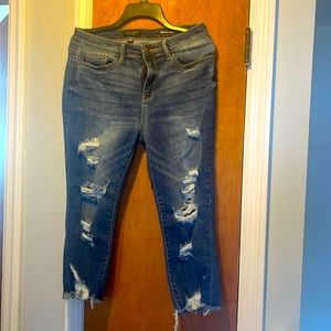 Judy Blue Skinny fit Capri